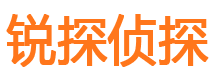 尼玛市侦探公司